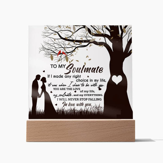 Soulmate-Chose To Be-Acrylic Square Acrylic Plaque!