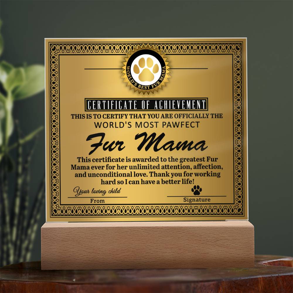 Acrylic Square Plaque fur mama Boyfriend's Mom Gift, Mother's Day Plaque For Boyfriend's Mom, Sentimental Acrylic Plaque Gift For Boyfriends Mom From Son's Girlfriend