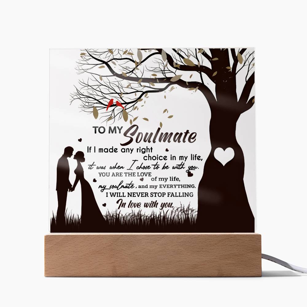 Soulmate-Chose To Be-Acrylic Square Acrylic Plaque!