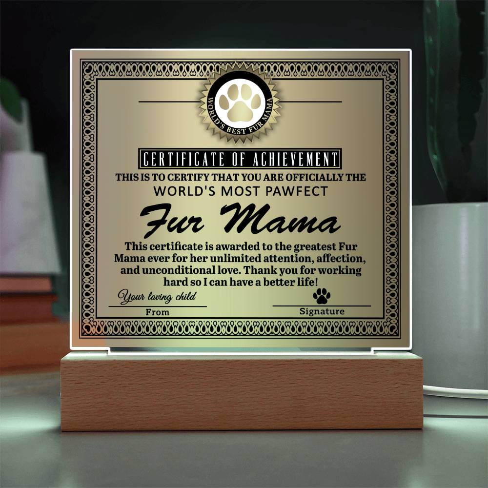 Acrylic Square Plaque fur mama Boyfriend's Mom Gift, Mother's Day Plaque For Boyfriend's Mom, Sentimental Acrylic Plaque Gift For Boyfriends Mom From Son's Girlfriend